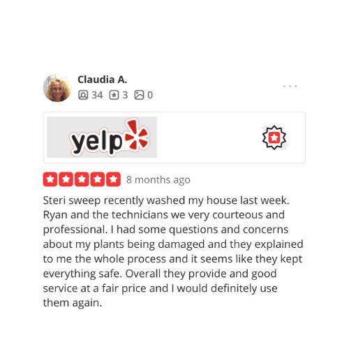 yelp review
